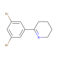 Brc1cc(Br)cc(C2=NCCCC2)c1 ZINC000653699900