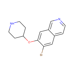 Brc1cc2ccncc2cc1OC1CCNCC1 ZINC000040937073