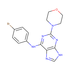 Brc1ccc(Nc2nc(N3CCOCC3)nc3[nH]cnc23)cc1 ZINC000053313929