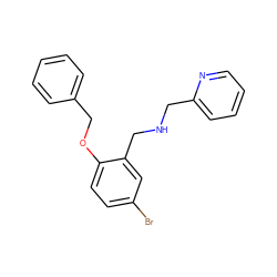 Brc1ccc(OCc2ccccc2)c(CNCc2ccccn2)c1 ZINC000004622045