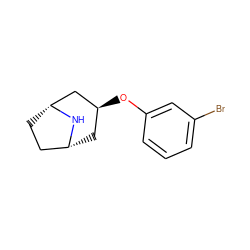 Brc1cccc(O[C@H]2C[C@@H]3CC[C@H](C2)N3)c1 ZINC000101387161