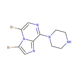 Brc1cnc(N2CCNCC2)c2ncc(Br)n12 ZINC000013728048