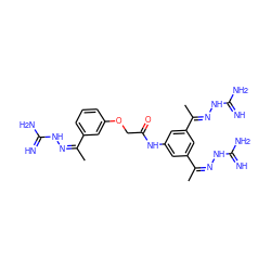 C/C(=N/NC(=N)N)c1cccc(OCC(=O)Nc2cc(/C(C)=N\NC(=N)N)cc(/C(C)=N/NC(=N)N)c2)c1 ZINC000066258669