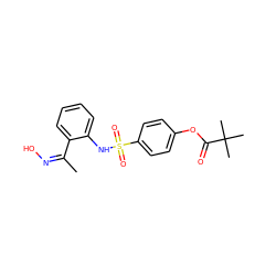 C/C(=N/O)c1ccccc1NS(=O)(=O)c1ccc(OC(=O)C(C)(C)C)cc1 ZINC000299857267