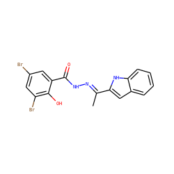 C/C(=N\NC(=O)c1cc(Br)cc(Br)c1O)c1cc2ccccc2[nH]1 ZINC000095561987