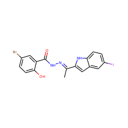 C/C(=N\NC(=O)c1cc(Br)ccc1O)c1cc2cc(I)ccc2[nH]1 ZINC000095563232