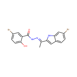 C/C(=N\NC(=O)c1cc(Br)ccc1O)c1cc2ccc(Br)cc2[nH]1 ZINC000095560747