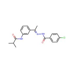 C/C(=N\NC(=O)c1ccc(Cl)cc1)c1cccc(NC(=O)C(C)C)c1 ZINC000000675958