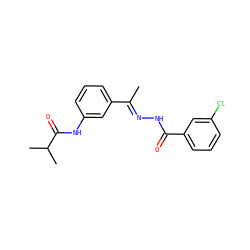 C/C(=N\NC(=O)c1cccc(Cl)c1)c1cccc(NC(=O)C(C)C)c1 ZINC000000668800