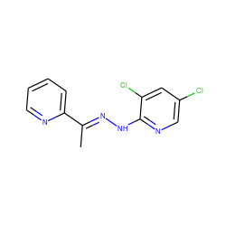 C/C(=N\Nc1ncc(Cl)cc1Cl)c1ccccn1 ZINC000005868284