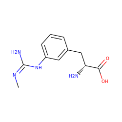 C/N=C(/N)Nc1cccc(C[C@@H](N)C(=O)O)c1 ZINC000029468569