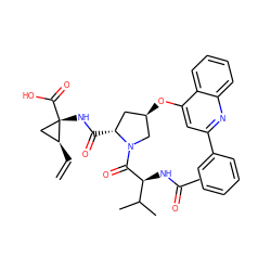 C=C[C@H]1C[C@]1(NC(=O)[C@@H]1C[C@@H](Oc2cc(-c3ccccc3)nc3ccccc23)CN1C(=O)[C@@H](NC(C)=O)C(C)C)C(=O)O ZINC000028086207