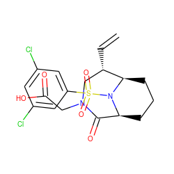 C=C[C@H]1CN(CC(=O)O)C(=O)[C@@H]2CCC[C@H]1N2S(=O)(=O)c1cc(Cl)cc(Cl)c1 ZINC001772607345