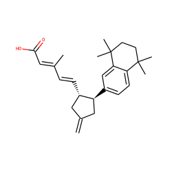 C=C1C[C@H](c2ccc3c(c2)C(C)(C)CCC3(C)C)[C@@H](/C=C/C(C)=C/C(=O)O)C1 ZINC000026486731