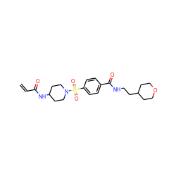 C=CC(=O)NC1CCN(S(=O)(=O)c2ccc(C(=O)NCCC3CCOCC3)cc2)CC1 ZINC000095573651