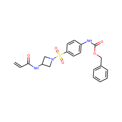 C=CC(=O)NC1CN(S(=O)(=O)c2ccc(NC(=O)OCc3ccccc3)cc2)C1 ZINC000095578305