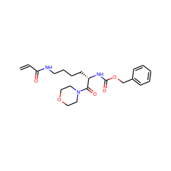 C=CC(=O)NCCCC[C@H](NC(=O)OCc1ccccc1)C(=O)N1CCOCC1 ZINC000095563960