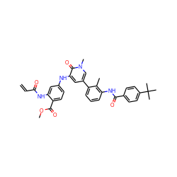 C=CC(=O)Nc1cc(Nc2cc(-c3cccc(NC(=O)c4ccc(C(C)(C)C)cc4)c3C)cn(C)c2=O)ccc1C(=O)OC ZINC001772628383