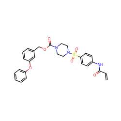 C=CC(=O)Nc1ccc(S(=O)(=O)N2CCN(C(=O)OCc3cccc(Oc4ccccc4)c3)CC2)cc1 ZINC000084741424