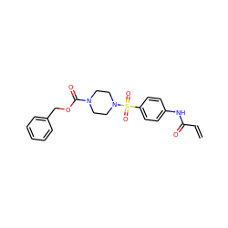 C=CC(=O)Nc1ccc(S(=O)(=O)N2CCN(C(=O)OCc3ccccc3)CC2)cc1 ZINC000084741721