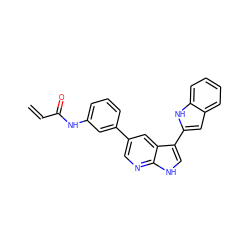 C=CC(=O)Nc1cccc(-c2cnc3[nH]cc(-c4cc5ccccc5[nH]4)c3c2)c1 ZINC000221058005