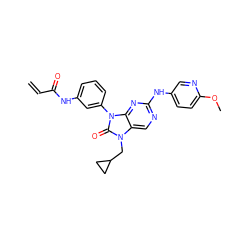 C=CC(=O)Nc1cccc(-n2c(=O)n(CC3CC3)c3cnc(Nc4ccc(OC)nc4)nc32)c1 ZINC000212120209