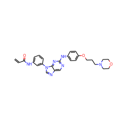 C=CC(=O)Nc1cccc(-n2cnc3cnc(Nc4ccc(OCCCN5CCOCC5)cc4)nc32)c1 ZINC001772619388