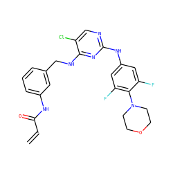 C=CC(=O)Nc1cccc(CNc2nc(Nc3cc(F)c(N4CCOCC4)c(F)c3)ncc2Cl)c1 ZINC000473099759