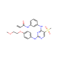 C=CC(=O)Nc1cccc(Nc2nc(Nc3ccc(OCCOC)cc3)ncc2S(C)(=O)=O)c1 ZINC000148561195