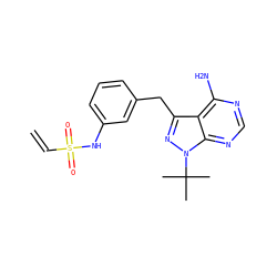 C=CS(=O)(=O)Nc1cccc(Cc2nn(C(C)(C)C)c3ncnc(N)c23)c1 ZINC000148069895