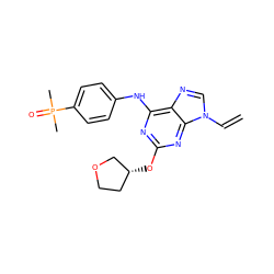 C=Cn1cnc2c(Nc3ccc(P(C)(C)=O)cc3)nc(O[C@@H]3CCOC3)nc21 ZINC000084729011