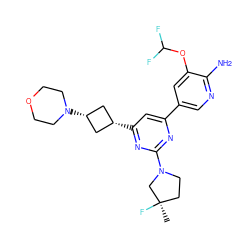 C[C@@]1(F)CCN(c2nc(-c3cnc(N)c(OC(F)F)c3)cc([C@H]3C[C@@H](N4CCOCC4)C3)n2)C1 ZINC000653755714