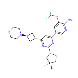 C[C@@]1(F)CCN(c2nc(-c3cnc(N)c(OC(F)F)c3)cc([C@H]3C[C@H](N4CCOCC4)C3)n2)C1 ZINC000653661110