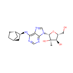 C[C@@]1(O)[C@H](O)[C@@H](CO)O[C@H]1n1cnc2c(N[C@H]3C[C@H]4CC[C@H]3C4)ncnc21 ZINC000261088250