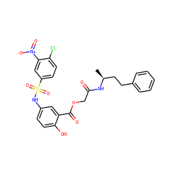 C[C@@H](CCc1ccccc1)NC(=O)COC(=O)c1cc(NS(=O)(=O)c2ccc(Cl)c([N+](=O)[O-])c2)ccc1O ZINC000008686816