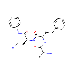 C[C@@H](N)C(=O)N[C@@H](CCc1ccccc1)C(=O)N[C@@H](CCN)C(=O)Nc1ccccc1 ZINC000027434067