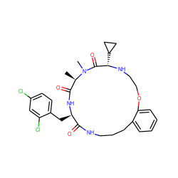 C[C@@H]1C(=O)N[C@H](Cc2ccc(Cl)cc2Cl)C(=O)NCCCc2ccccc2OCCN[C@@H](C2CC2)C(=O)N1C ZINC000114624821