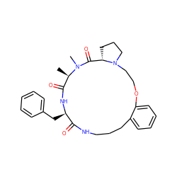 C[C@@H]1C(=O)N[C@H](Cc2ccccc2)C(=O)NCCCc2ccccc2OCCN2CCC[C@H]2C(=O)N1C ZINC000145700122