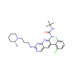 C[C@@H]1CCCCN1CCCNc1ncc2cc(-c3c(Cl)cccc3Cl)c(NC(=O)NC(C)(C)C)nc2n1 ZINC000014944249