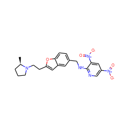 C[C@@H]1CCCN1CCc1cc2cc(CNc3ncc([N+](=O)[O-])cc3[N+](=O)[O-])ccc2o1 ZINC000013674357