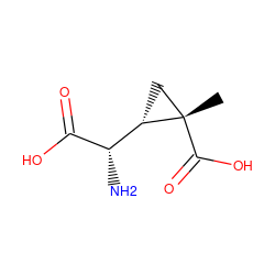 C[C@]1(C(=O)O)C[C@H]1[C@H](N)C(=O)O ZINC000095598647