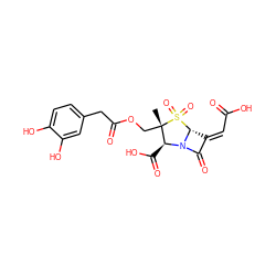 C[C@]1(COC(=O)Cc2ccc(O)c(O)c2)[C@H](C(=O)O)N2C(=O)/C(=C/C(=O)O)[C@H]2S1(=O)=O ZINC000026152513