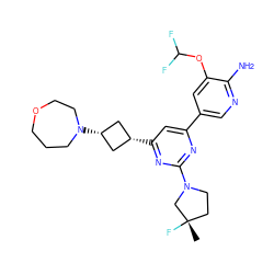 C[C@]1(F)CCN(c2nc(-c3cnc(N)c(OC(F)F)c3)cc([C@H]3C[C@@H](N4CCCOCC4)C3)n2)C1 ZINC000653778408