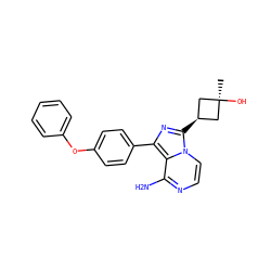 C[C@]1(O)C[C@@H](c2nc(-c3ccc(Oc4ccccc4)cc3)c3c(N)nccn32)C1 ZINC000100618686