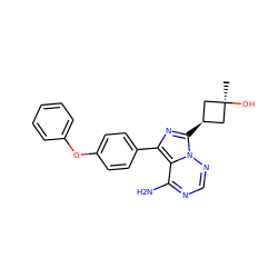 C[C@]1(O)C[C@@H](c2nc(-c3ccc(Oc4ccccc4)cc3)c3c(N)ncnn32)C1 ZINC000100619090