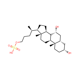 C[C@H](CCCOS(=O)(=O)O)[C@H]1CC[C@H]2[C@H]3[C@H](CC[C@@]21C)[C@@]1(C)CC[C@@H](O)C[C@H]1C[C@H]3O ZINC000013582110