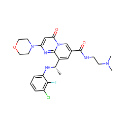 C[C@H](Nc1cccc(Cl)c1F)c1cc(C(=O)NCCN(C)C)cn2c(=O)cc(N3CCOCC3)nc12 ZINC000299826472