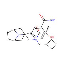 C[C@H](O)C(=O)N(CCN1[C@H]2CC[C@@H]1C[C@H](c1cccc(C(N)=O)c1)C2)CC1CCC1 ZINC000165756749