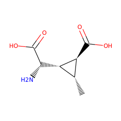 C[C@H]1[C@H](C(=O)O)[C@H]1[C@H](N)C(=O)O ZINC000003994771