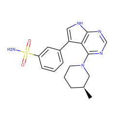 C[C@H]1CCCN(c2ncnc3[nH]cc(-c4cccc(S(N)(=O)=O)c4)c23)C1 ZINC000210713719